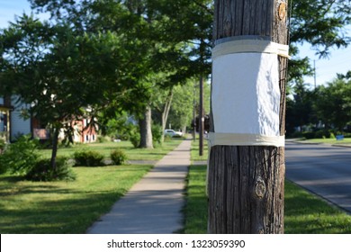 Close Up Of Blank Sign Posted On A Telephone Pole In A Residential Area, Sign Left Blank Purposely For Copy Space And Custom Design Layout.