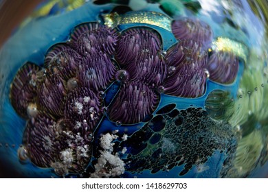 Close Up Of Blown Glass Orb