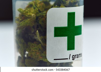 Close up of Blue Cookies marijuana in prescription container