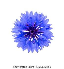 66,336 Cornflower blue Images, Stock Photos & Vectors | Shutterstock