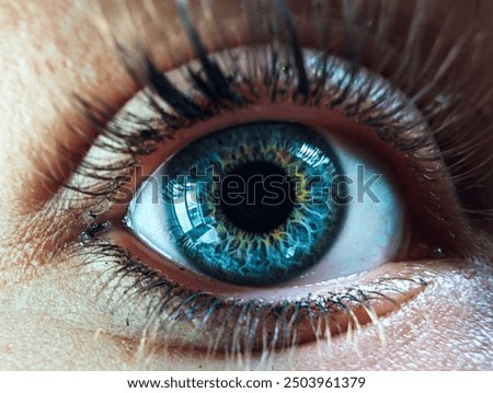 A close up of a blue human eye