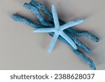 close up blue starfish on blue tree branches decorative background 