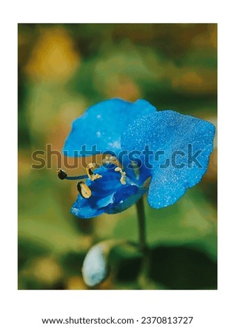 A close up of a bluish  flower