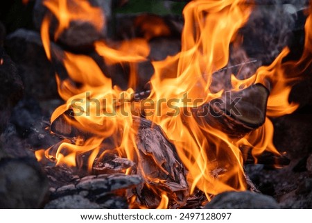 a close up of bonfire. burning flames.