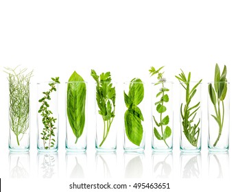 Close Up bottles of essential oils with fresh herbs sage, rosemary, sweet basil leaves, lemon thyme, parsley,fennel and peppermint branch isolated on white background.