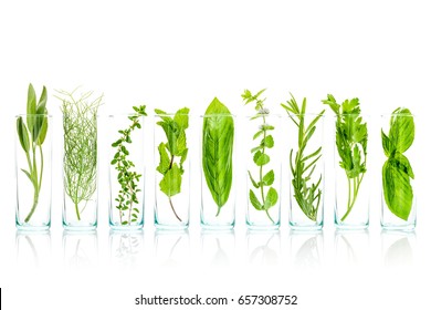 Close Up bottles of essential oils with fresh herbs . Sage, rosemary, sweet basil leaves ,lemon thyme ,parsley and peppermint branch isolated on white background.