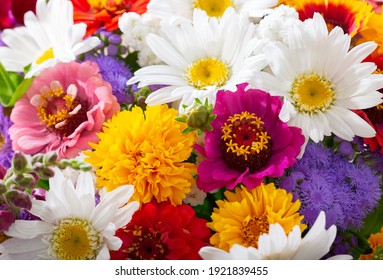 Colors Flower 库存照片 图片和摄影作品 Shutterstock