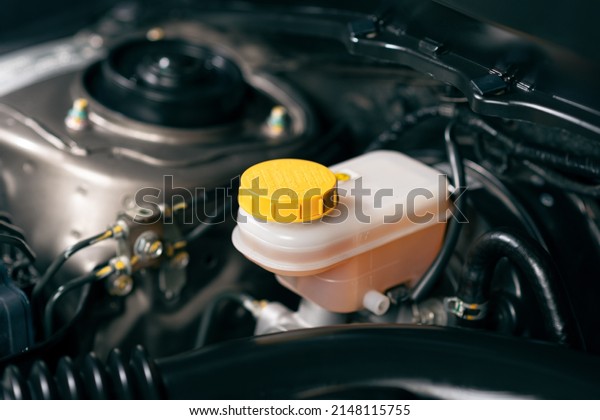Close up brake fluid tank, check brake fluid.\
Car maintenance concept.
