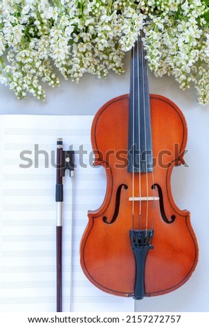 Close up of Branch of blossoming bird cherry and old violin with bow fiddlestick on light gray background with music paper