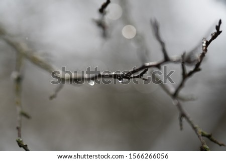 Similar – Foto Bild Nach dem Regen Winter