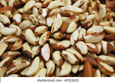 Close Up Of Brazil Nut On Market Stand