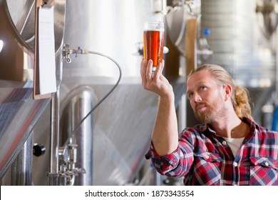 Close up of a Brewery Worker Checking quality of a Beer Sample