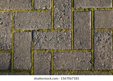 Close Brick Pavers Layed Out Crisscross Stock Photo 1567067185 ...