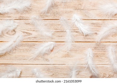 14,785 Feathers playful Images, Stock Photos & Vectors | Shutterstock