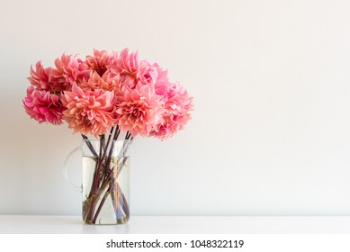 Close up of bright coral pink dahlias in glass jug on white shelf against neutral wall background with copy space (selective focus)