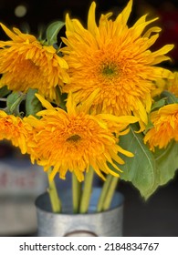 Close up of bright yellow sunflowers