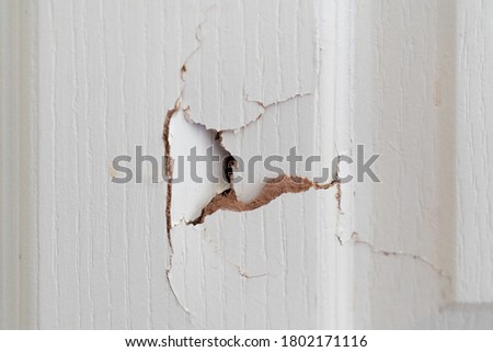Close up of broken white wooden door.