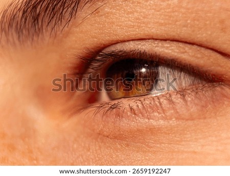 Close up of a brown eye in the light
