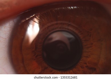 close up brown iris lens reflection human