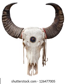 Close up of a Buffalo skull isolated on white background