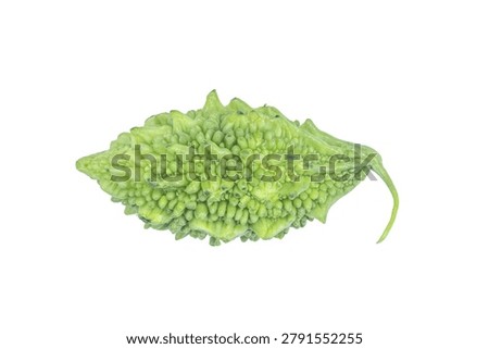 Close up of a bumpy green bitter gourd showing intricate surface details. Nutritious vegetable from the gourd family used in stir fry and herbal tea preparations.