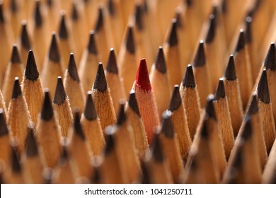 Close up of bunch of identical sharp black graphite pencils and one different, unique red pencil that stands out. Shallow depth of field. Studio shot. Concept of diversity. Concept of uniqueness.
