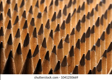 Close Up Of Bunch Of Identical Sharp Graphite Pencils. Studio Shot. Concept Of Uniformity. Concept Of Similarity.