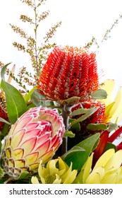 Close Up Of Bunch Of Native Australian Flowers, With Protea And Banksia Against White Background