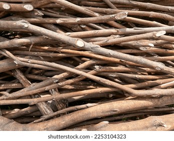 Close up bundle sticks branches. Close up of large pile of sticks branches. A bundle of dry sticks and branches. Branches pile isolated. - Powered by Shutterstock