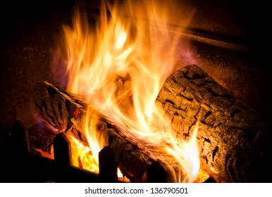 Close up of burning fire.