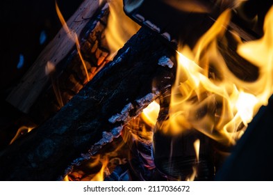 Close up burning logs in fire. Macro shooting of flames. Selective focus tongues of flame. Logs burn in the campfire.