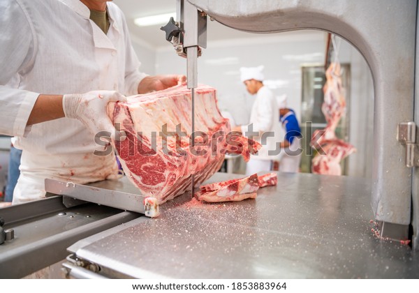 Close up butcher meat wagyu beef cutting room\
worker cutting a piece of meat on the electric belt cutter at the\
slaughterhouse, Meat\
industry.