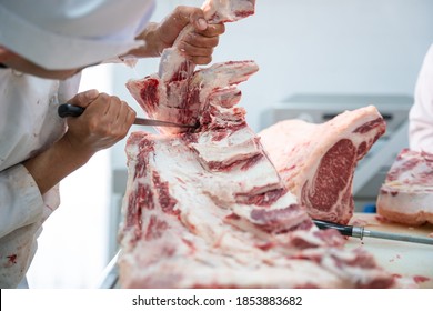 Close up butcher working separate the bone from the meat with a knife at table in the slaughterhouse, Wagyu Beef, Meat industry, 