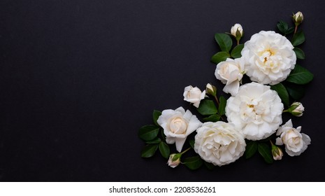 Close up of Buttery White Rose Flowers on Black Background - Shutterstock ID 2208536261