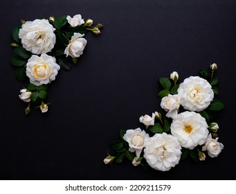 Close up of Buttery White Rose Flowers on Black Background - Shutterstock ID 2209211579