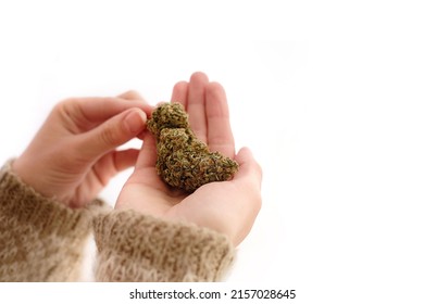 Close Up Of Cannabis Bud In Young Woman`s Hands On A Brown Background. Medical Marijuana Use Concept.