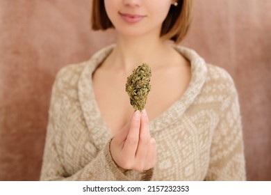 Close Up Of Cannabis Bud In Young Woman`s Hands On A Brown Background. Medical Marijuana Use Concept.