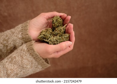 Close Up Of Cannabis Bud In Young Woman`s Hands On A Brown Background. Medical Marijuana Use Concept.