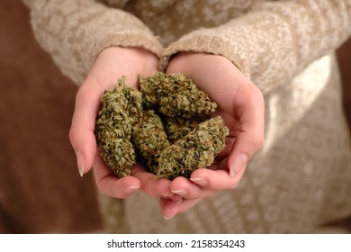 Close Up Of Cannabis Bud In Young Woman`s Hands On A Brown Background. Medical Marijuana Use Concept.