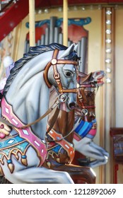Close up of a Carousel Horse 