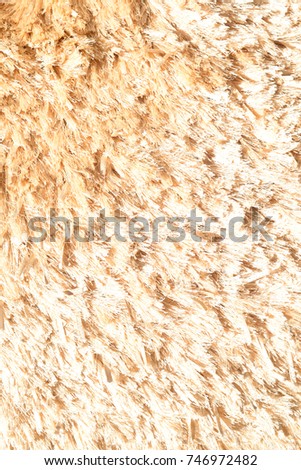 Close up of carpet textured abstraction decorative background. Natural pattern, clean surface, smooth flooring wall copy space