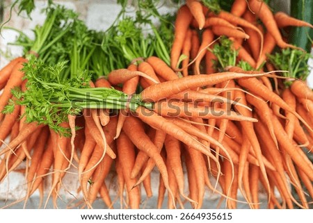 Close up of carrots, Vegetable background.