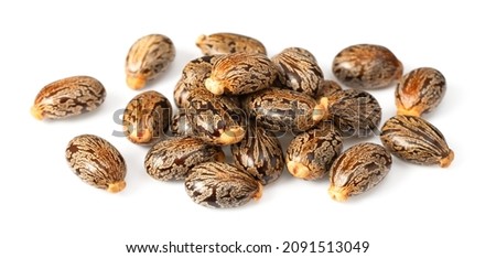 close up of castor beans, isolated on white background