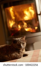 Cat fire Images, Stock Photos & Vectors | Shutterstock