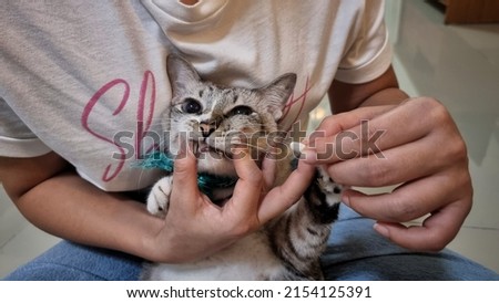 Close up cat's face when owner are giving a pill to adorable young cat by hand.