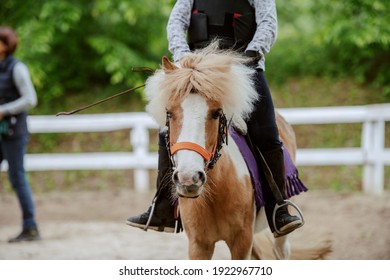 Close Up Of Caucasian Girl With Protective Vest On Riding Cute White And Brown Pony Horse. Sunny Day On Ranch Concept.