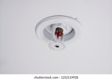 Automatic Ceiling Fire Sprinkler Stock Photos Images