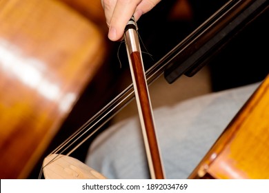 Violoncelle Images Photos Et Images Vectorielles De Stock Shutterstock