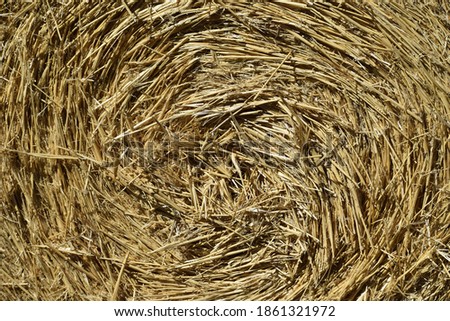 Similar – Image, Stock Photo #S# Straw spiral Nature