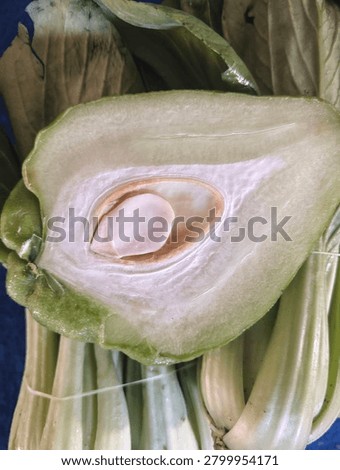 Close up of chayote squash cut in half showing the seed